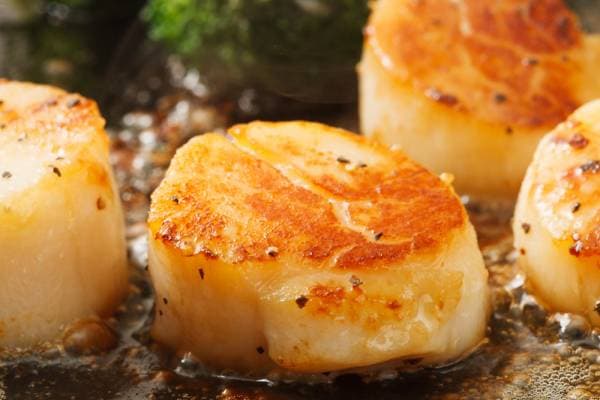 Coquille Saint-Jacques sautées au sel