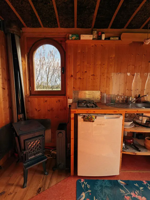 Cozy rustic cabin kitchen with wood-burning stove, gas hob, mini fridge, and arched window overlooking trees