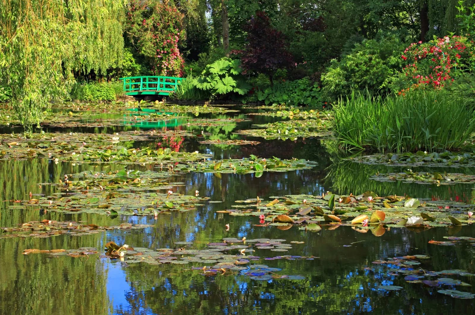 Giverny — Monet's Garden Private Tour from Deauville