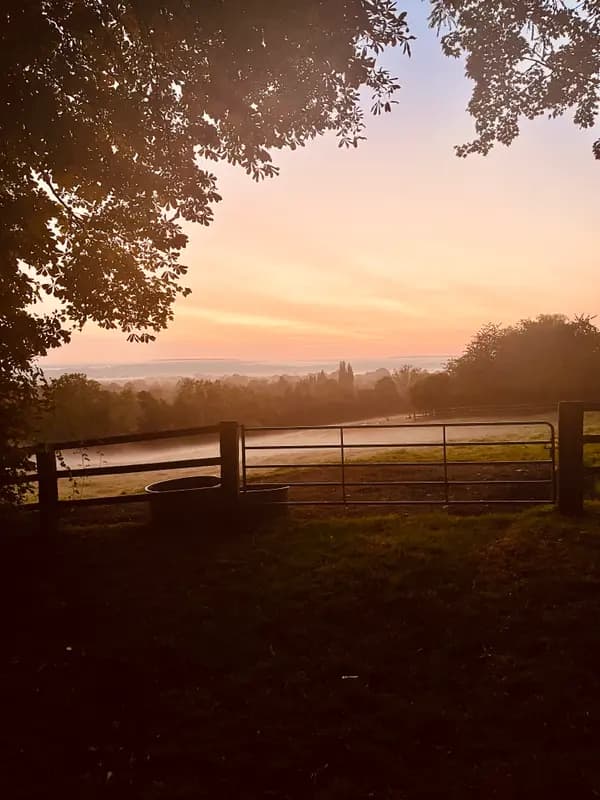 Scenic countryside sunrise view with farm gate and rolling hills, perfect rural setting for a farm-to-table dining experience.