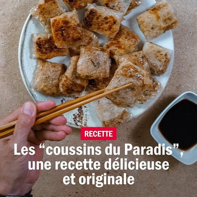 Coussins du Paradis
